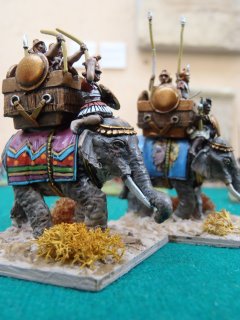 Elefanti